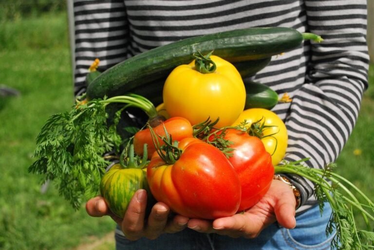 5 Quick Fixes to Rescue Your Stunted Vegetable Harvest