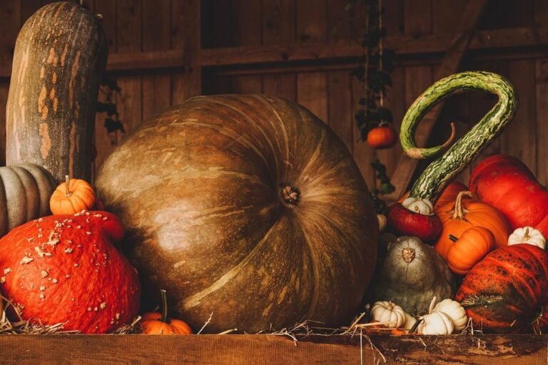 How to Start a Fall Garden in Your USDA Zone